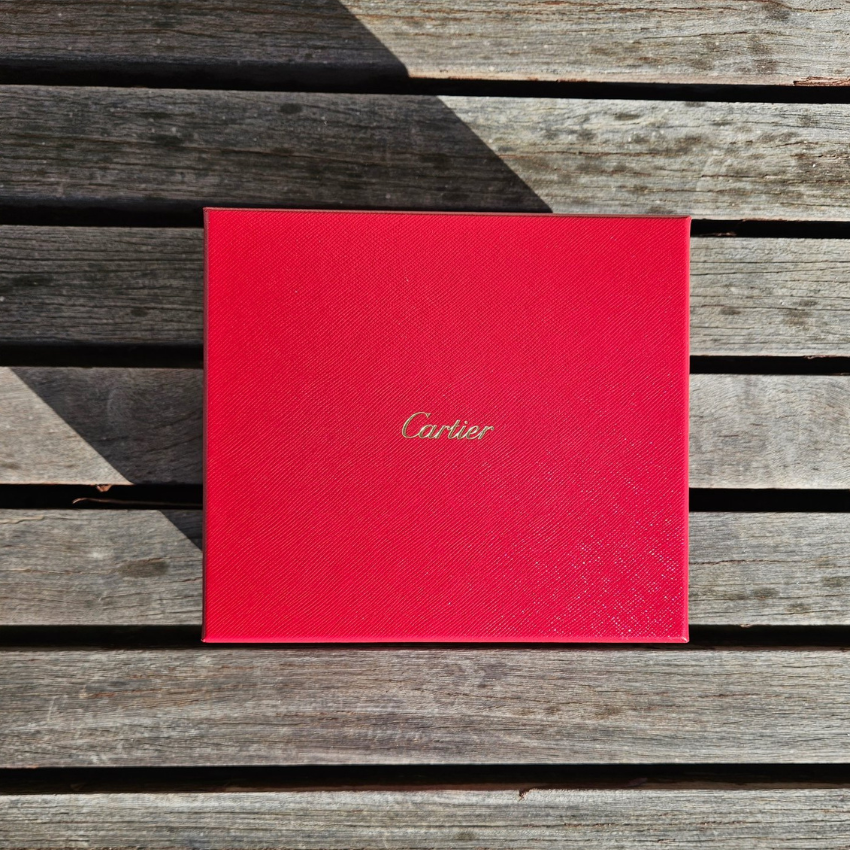 CARTIER 'SANTOS' 'LARGE' 'WSSA0018'