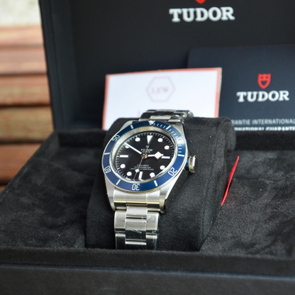 TUDOR 'BLACK BAY' 41MM '79230B-0008'